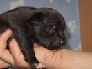 Get A Grip 2 Weeks Old